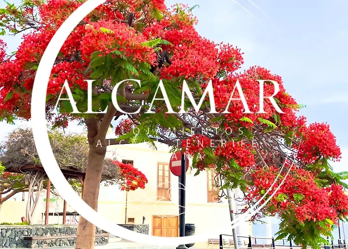 Alcamar Habitacion Privada Con Las Areas De Sala, Cocina Y Bano Que Se Comparten Cerca Al Mar!