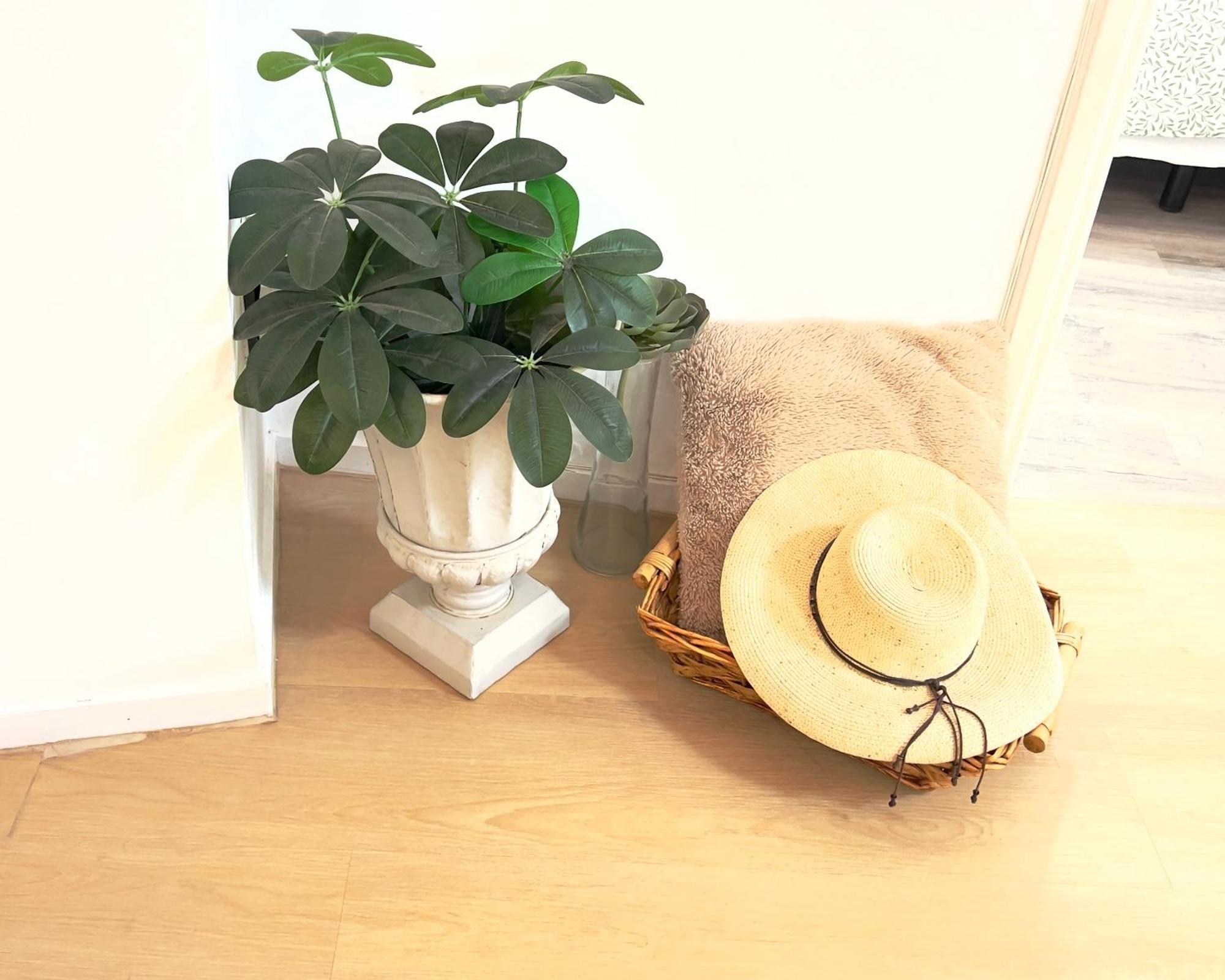 Homestay Alcamar Privada Con Areas De Sala, Cocina Y Bano Que Se Comparten Cerca Al Mar! *